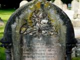 image of grave number 972843